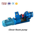 Electric roots vacuum pump